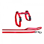 Flamingo trakside ja jalutusrihma komplekt kassidele "Ela Big Cat" 35-56cm/120cm/12mm