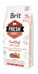 Brit Fresh Beef &  Pumpkin Large Bones &  Joints koeratoit 2,5 kg