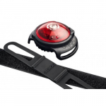 Orbiloc Dual red