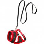 Flamingo kassipoja trakside ja rihma komplekt S, 110 x 10 mm