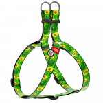 WAUDOG traksid koertele QR-passiga, "Avocado", M