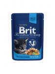 Brit Premium Chicken Chunks for Kitten einekotike kassipoegadele 100g