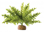Terraariumi dekor Boston Fern S PT2990