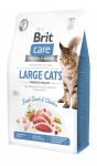 Brit Care Cat Grain-Free Large cats Power Vitality 2kg