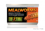 Exo-Terra Mealworms 34g PT1958