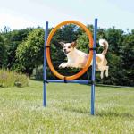 DogActivity Agility Ring, plastik, 115x &oslash; 3cm, &oslash; 65cm sinine / oranž