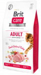 Brit Care Cat Grain-Free Adult Activity Support kassitoit 7kg