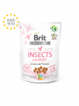 Brit Care Insects with Whey n&auml;rimismaius kutsikatele 200g