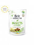 Brit Care Insects with Rabbit n&auml;rimismaius koertele 200g