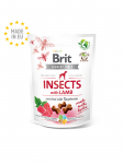 Brit Care Insects with Lamb n&auml;rimismaius koertele 200g
