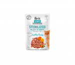 Brit Care Fillets in Gravy Healty Rabbit m&auml;rgtoit steriliseeritud kassidele 85g