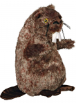 Koera m&auml;nguasi Beaver 27cm