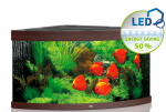 Akvaarium Trigon 350 LED Dark Wood (pruun-350L)