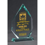 Victoria Victoria Sport Trofeum glass engraved with ethos + filled with paint