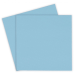 Thermal Thermal Grizzly Minus Pad Pro - 100 x 100 x 2,0 mm