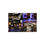 Warm Warm Audio WA-87jr Must - Kondensaatormikrofon