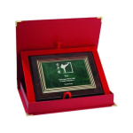 Tryumf Plastic diploma with engraving on a gold plate + CASE
