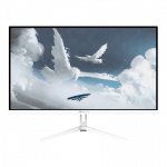 Arozzi Nova 27&Prime; PC lamekuvar 68,6 cm (27") 2560 x 1440 pikslit Quad HD LED Valge