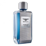 Bentley Momentum Unlimited EDT M 100 ml Tester