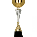 Detail Detail Gold and silver metal cup