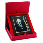 Tryumf Plastic diploma with engraved metal plate + case