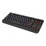 GENESIS Thor 230 TKL klaviatuur M&auml;ngimine USB + RF Wireless + Bluetooth QWERTY Ameerika inglise keel Must