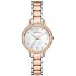Emporio Emporio Armani Cleo AR11499 naiste kell (zi546a)