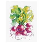 Beldizart Radishes S1481