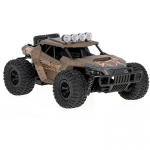 RoGer RC Off-Road Toy Car 20 km/h 1:16