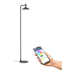 Eglo CONOMAVILLA-Z nutikad lamp RGB+CCT 1000 lm, musta