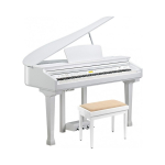 Kurzweil KAG-100 Valge &ndash; digitaalpiano