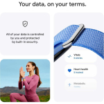 Google Fitbit Air Lavendel
