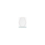 Detail Detail Glass trophy with glued base and case
