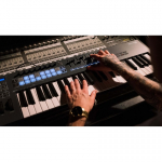 Novation FLkey 49 t&auml;issuuruses MIDI klaviatuur (49 klahvi)
