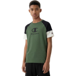 Laste Laste Champion SS Tee roheline 307719 GS548 (S)