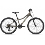 Mountain Mountain bike Giant XTC Jr 24 Metal (C)
