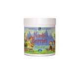 Nordic Nordic Naturals &bdquo;Nordic Berries&ldquo; toidulisand lastele, 120 tabletti