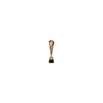 Victoria Victoria Sport Victoria Sport Cup METALOWY Silver