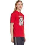 Meeste Meeste T-s&auml;rk adidas FC Bayern Muenchen Seasonal Graphic punane KG2586 (S)