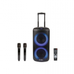 MadBoy MadBoy TOTAL karaoke device with wireless microphones