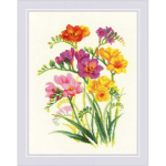 Uab Uab Riolis Kvapniohi freesia SR1821