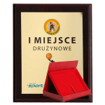 Tryumf Plastic diploma with colored touch laminate + case 275x220 mm