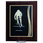 Tryumf Diploma is made of plastic with an engraved metal plate