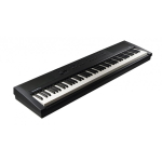 Kurzweil KA-E1 Valge &ndash; lavaklaver