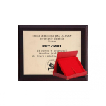 Tryumf Podkład su twotwrzewa sztucznego su laminatem grawerowany + etui 305x245 mm