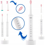 Toothbrush Toothbrush Zelmer ZTB2010W