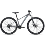 Liv Tempt 29 2 Liquid Metal Mountain Bike