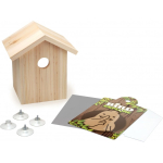 Nature Nature Explore Bird Explore birdhouse