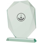 Detail Detail Engraved glass trophy with case