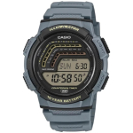 Meeste Meeste kell CASIO WS-1800-2AVDF + KARP